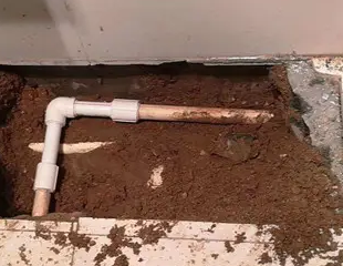 望江测漏水哪家好